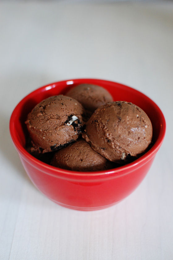 Homemade Chocolate Ice Cream with Coconut Milk